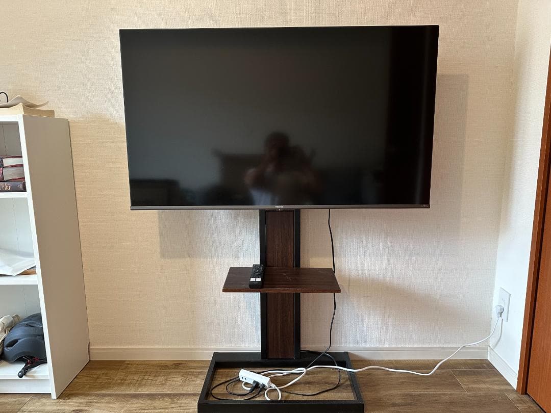 【カメムシ／発送方法修正】テレビ