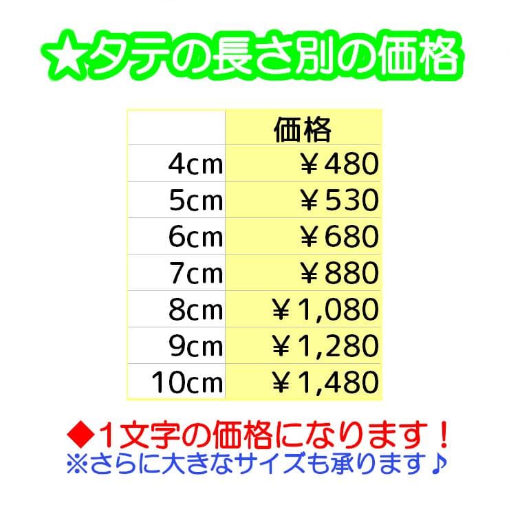 水色の星柄【480円～】お名前ワッペン【刺しゅう】★数量限定★