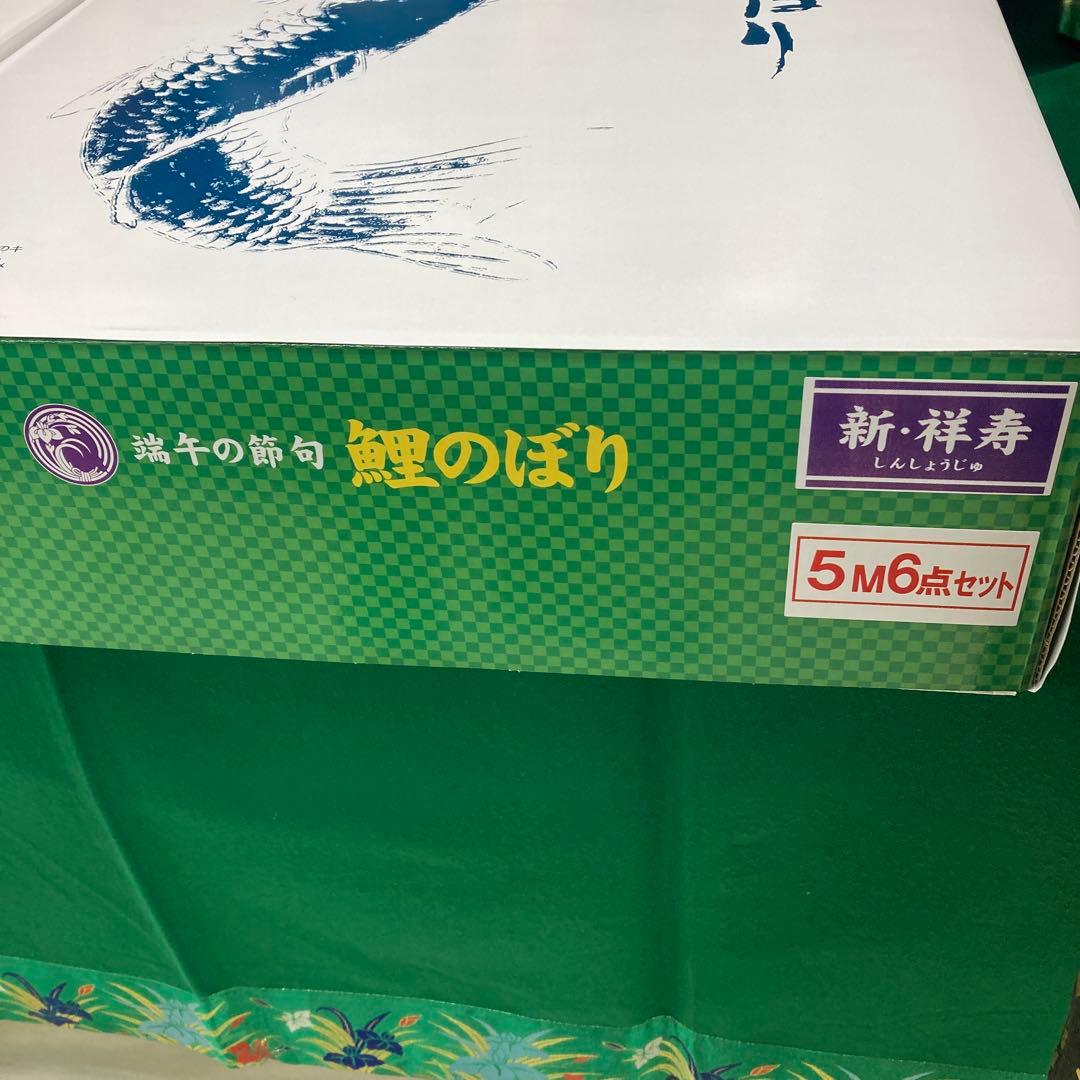 鯉のぼり5m 6点セット　祥寿鯉