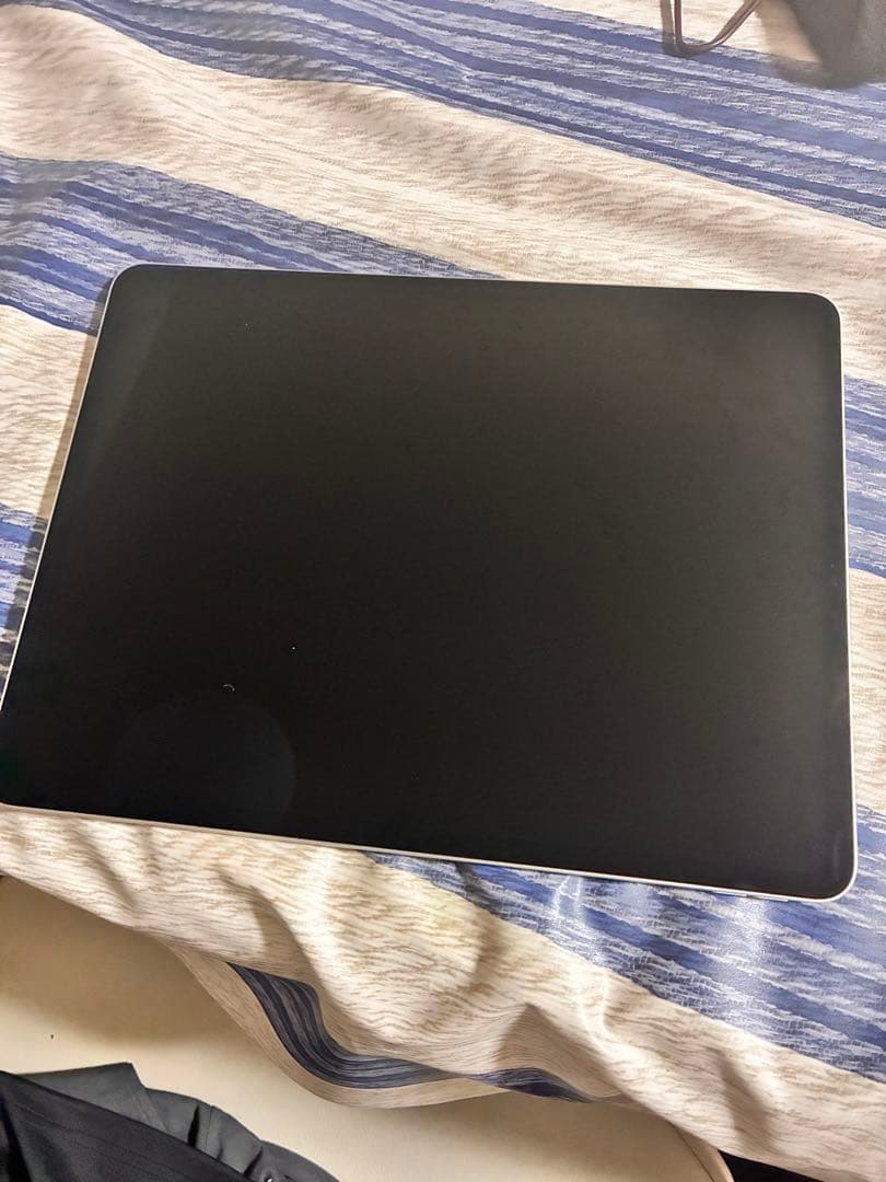 iPad Pro 12.9インチ　３世代　1TB 本体のみ