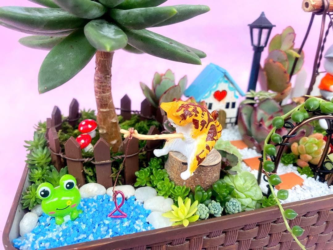 箱庭✿多肉寄せ植え✿そのまま飾れます