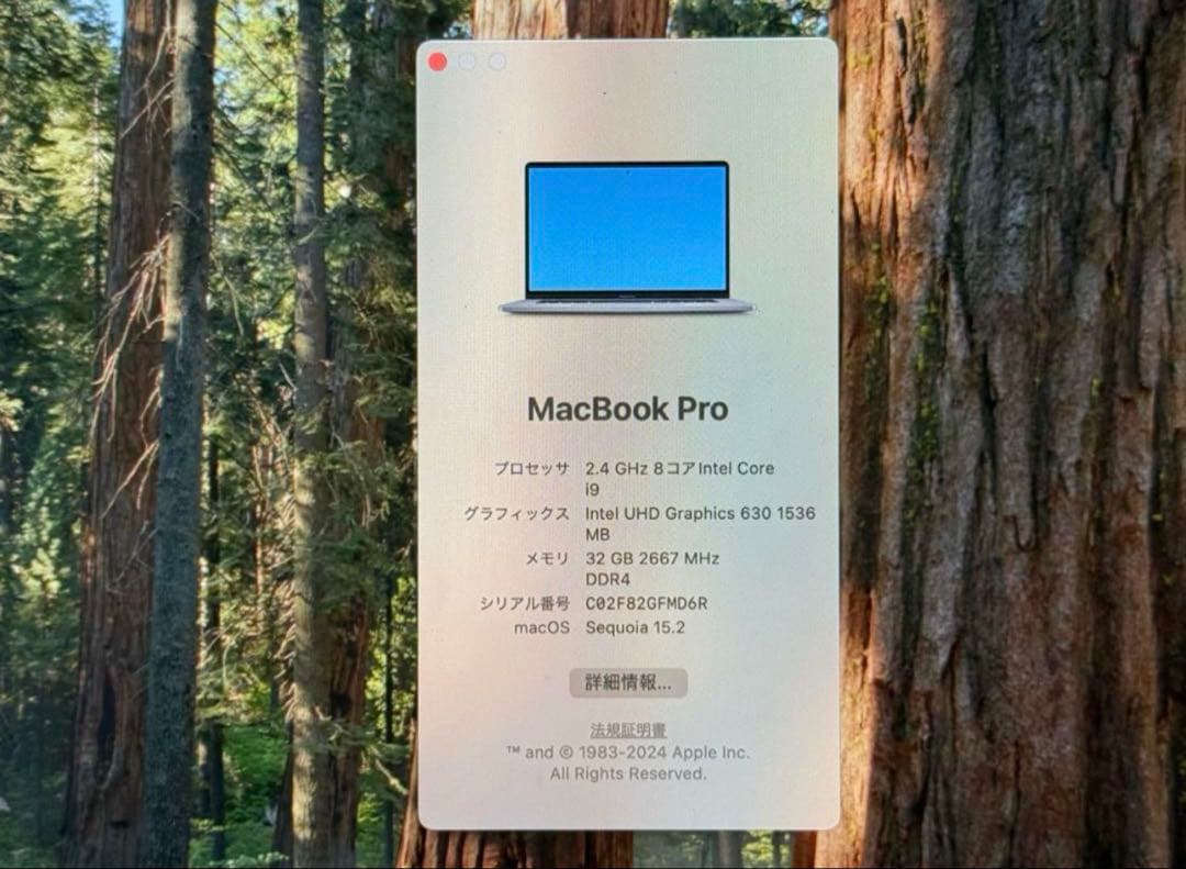 Macbook Pro 2019 16インチ i9 32GB SSD 1TB