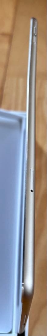 iPad Air2 ゴールド 16GB Wi-Fi+Cellular 箱付 美品